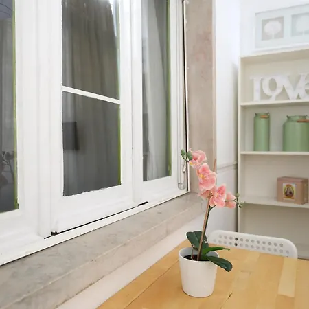 Apartment Cool Flat With Big Patio In Center Lisbon